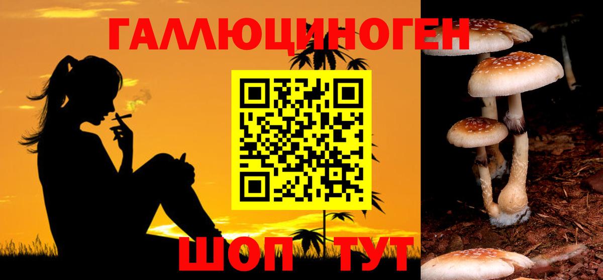 Алатырь  Галлюциногенные грибы MAGIC MUSHROOMS  Вход с VPN 